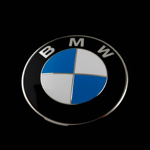 BMW Logo